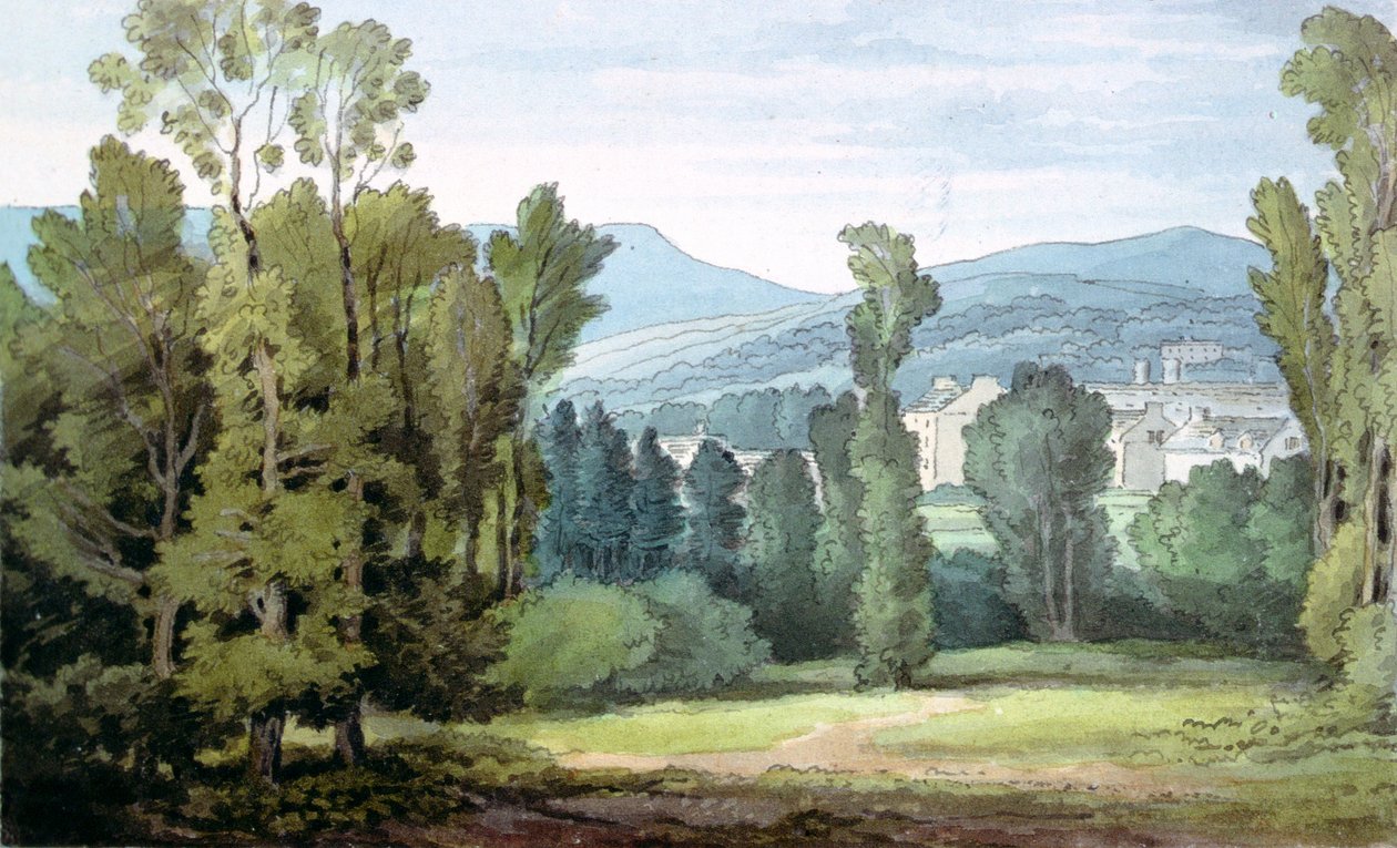 Dulverton, Somerset, 1800 de John White Abbott