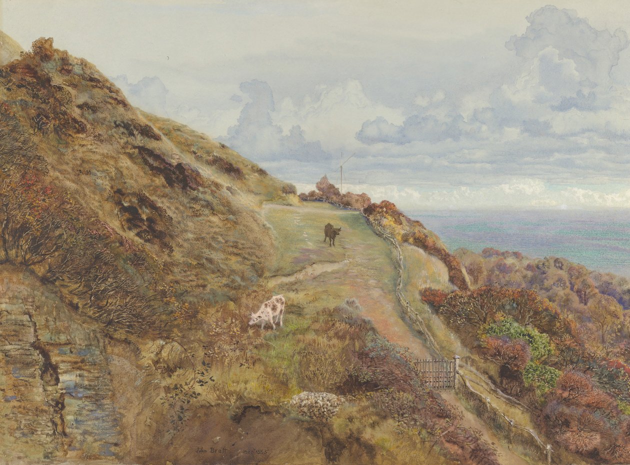 Bonchurch Downs, 1865. de John Brett