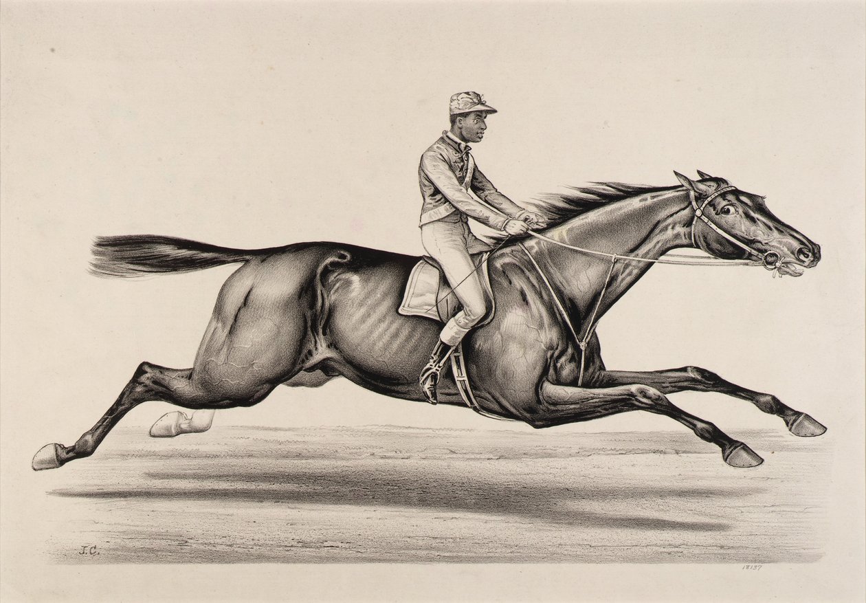Imperador de Norfolk de John Cameron