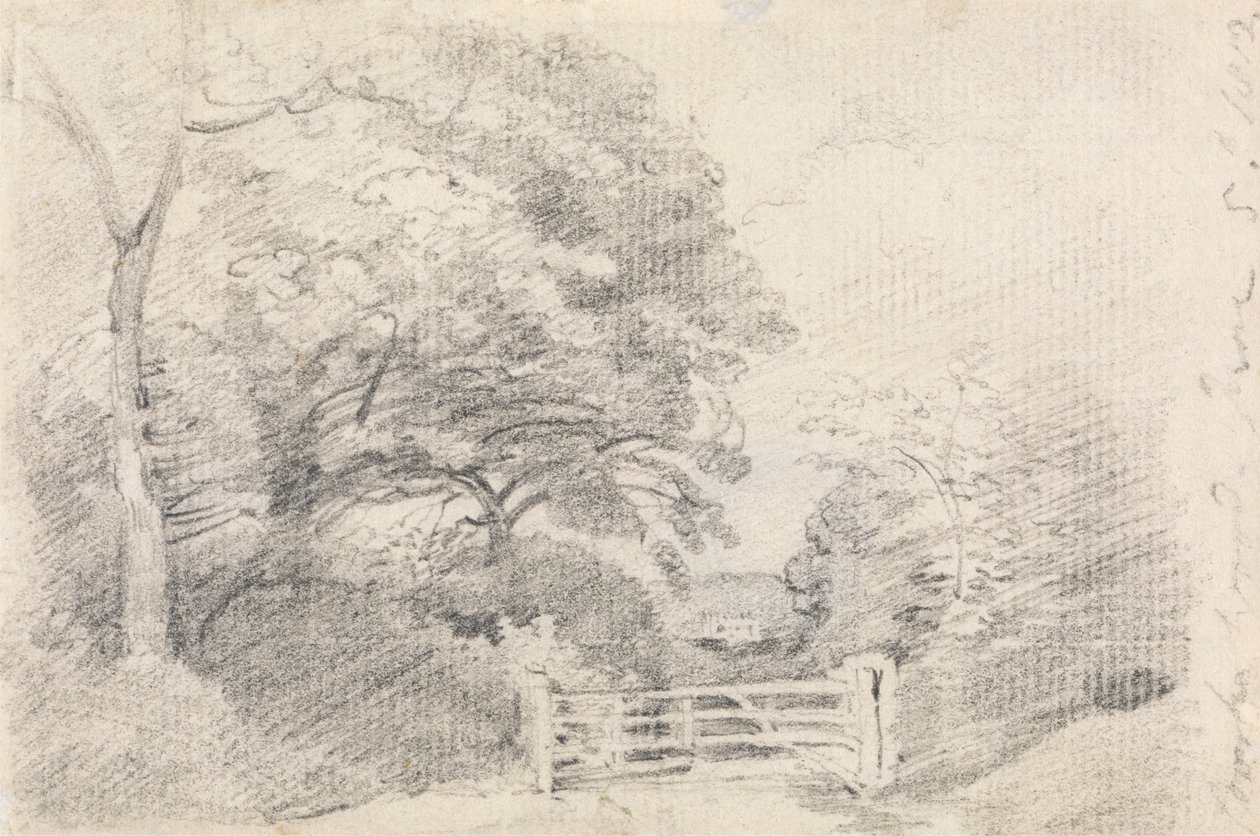 Madeira Coombe de John Constable