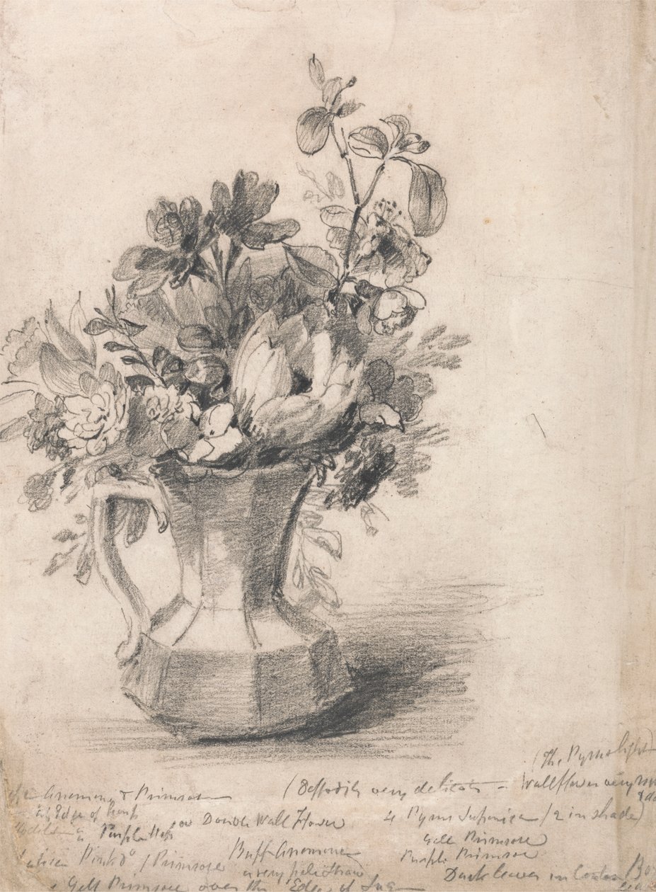 Flores num vaso de John Constable
