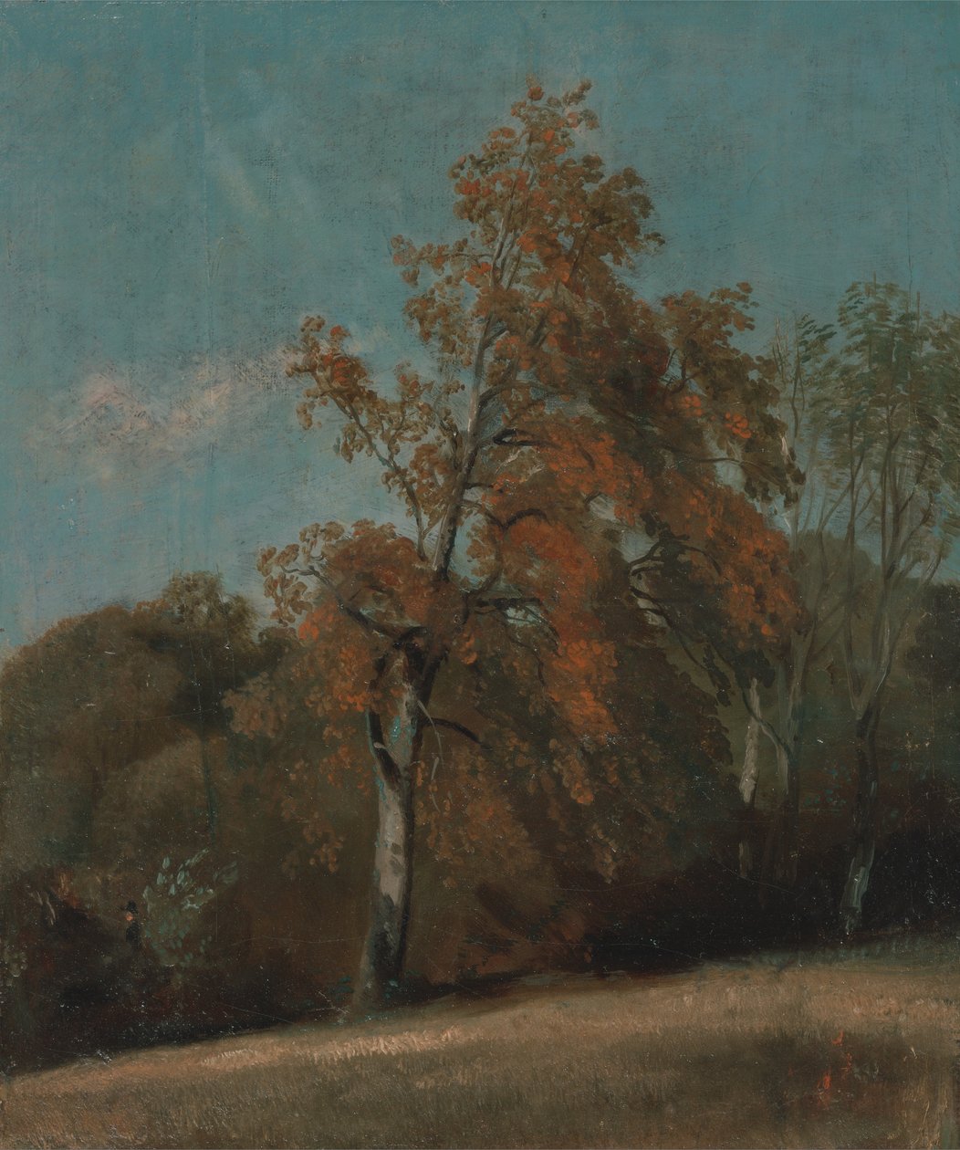 Estudo de um freixo de John Constable
