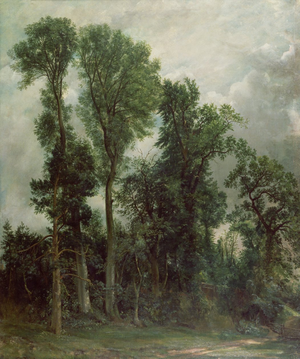 Árvores em Hampstead de John Constable