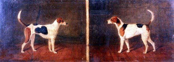 Dois Foxhounds em Interiores de John Dalby