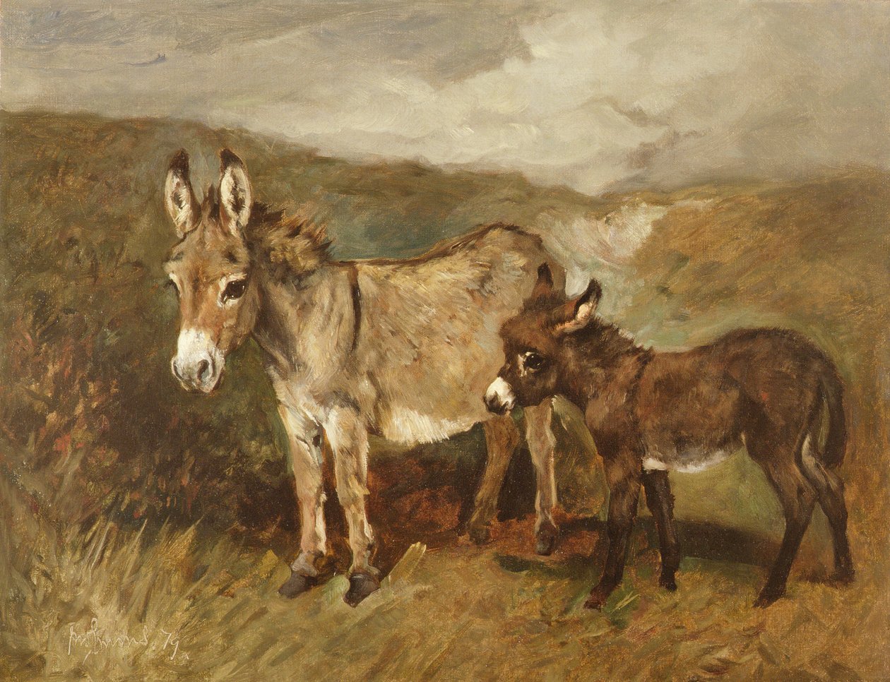Burros no Mouro, c.1890 de John Emms