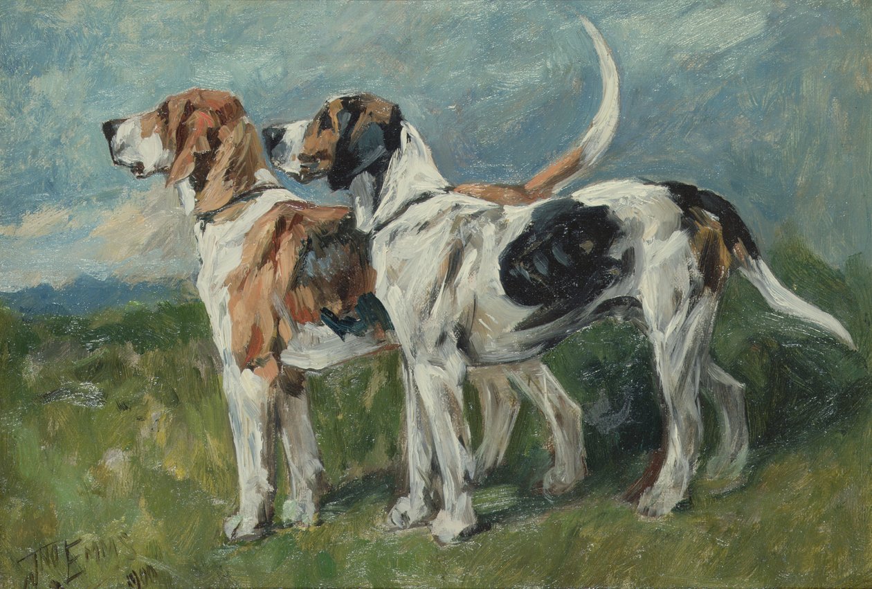 Par de Foxhounds, 1900 (diretoria) de John Emms