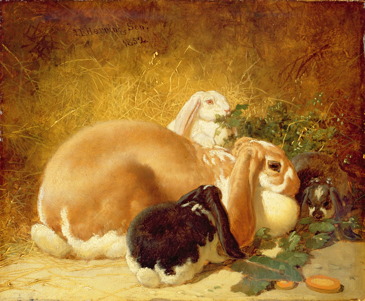Coelhos, 1852 de John Frederick Herring Junior