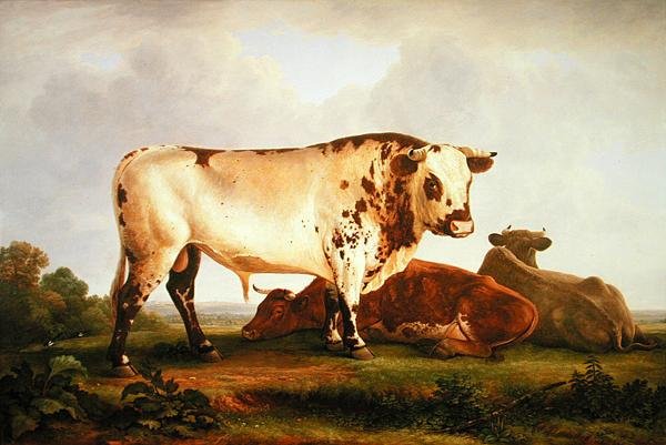 Touro (óleo sobre tela) de John Glover