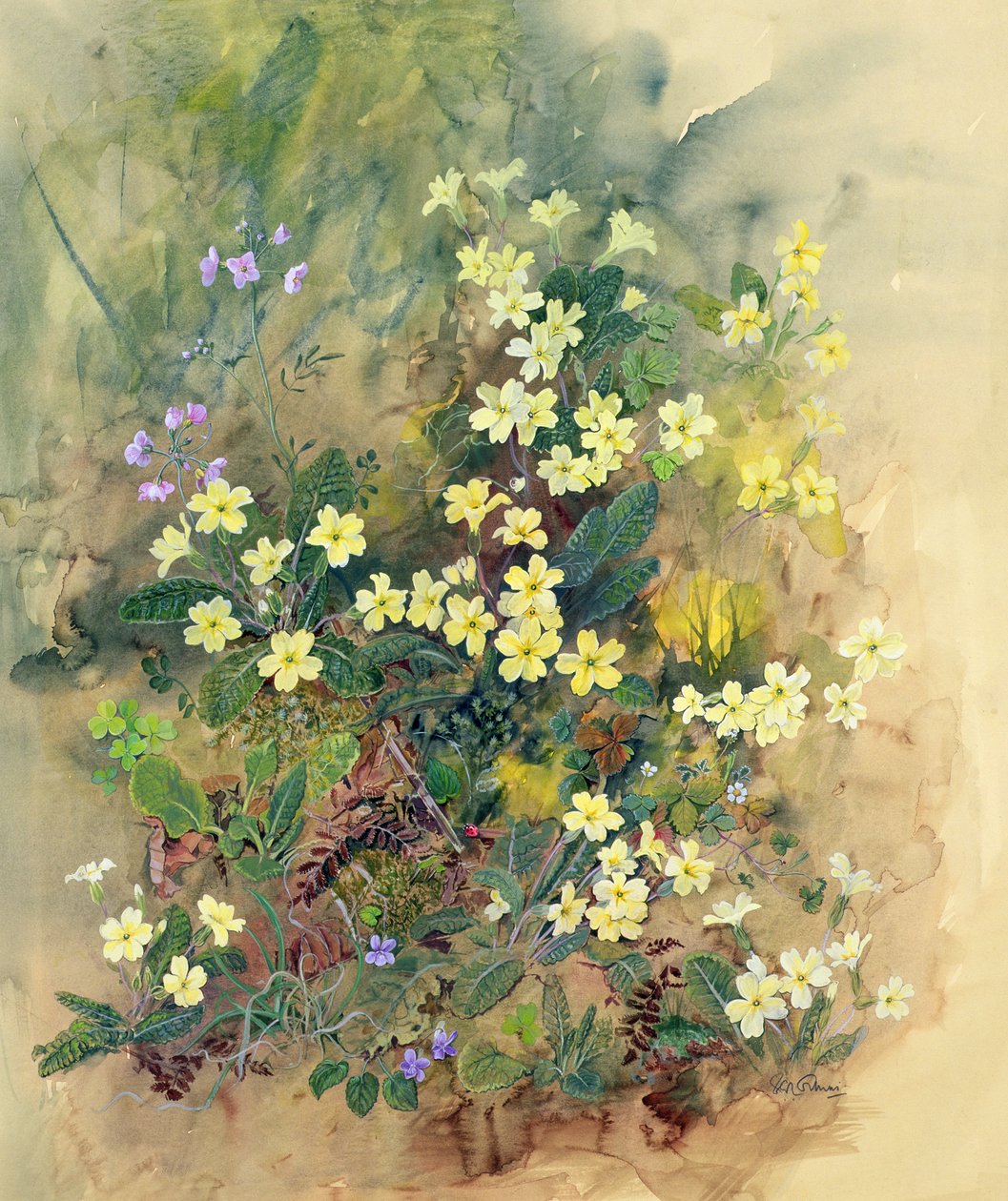 Banco Primrose de John Gubbins