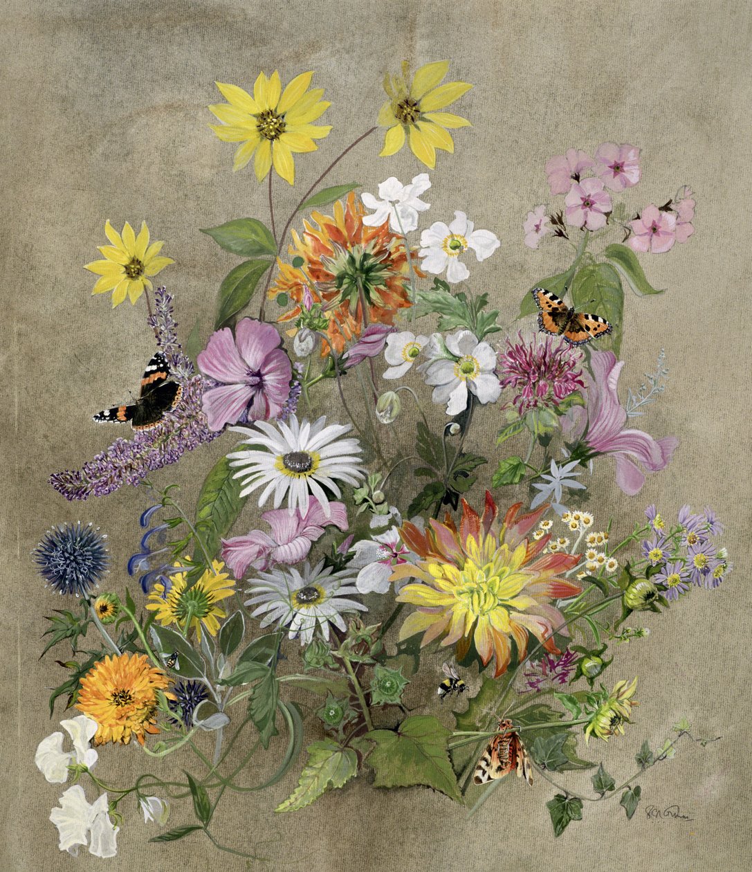 Flores de verão de John Gubbins