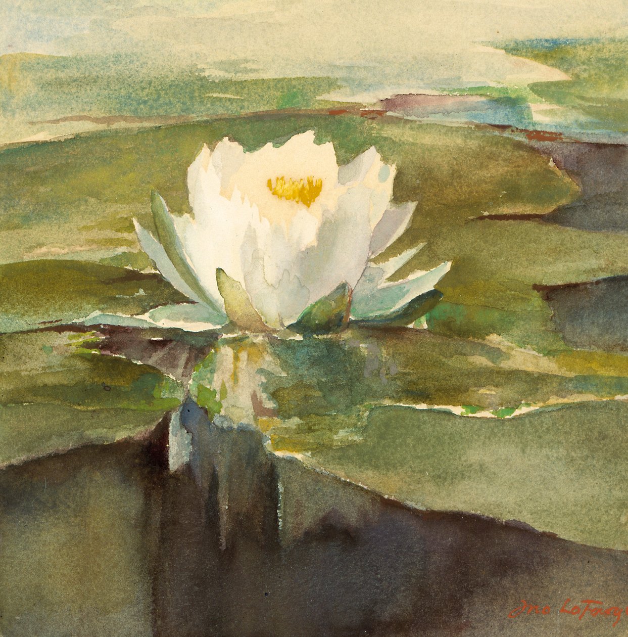 Water Lily in Sunlight, ca. 1883. de John La Farge