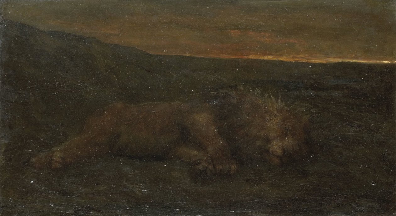Leão adormecido à noite de John Macallan Swan