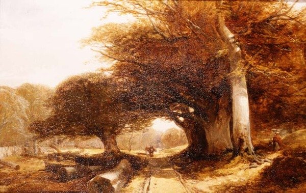 Cenário da floresta de John Middleton