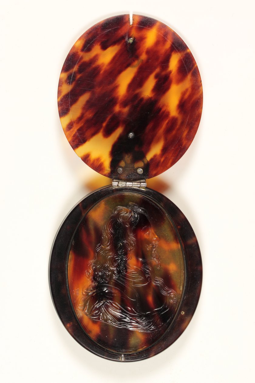 Charles I (tortoiseshell) de John Obrisset
