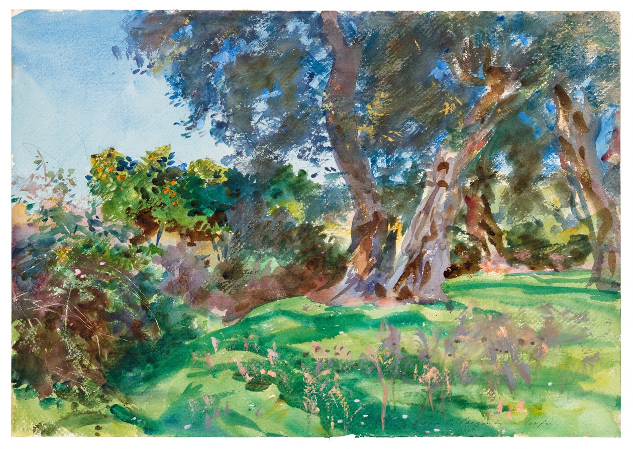 Oliveiras, Corfu de John Singer Sargent