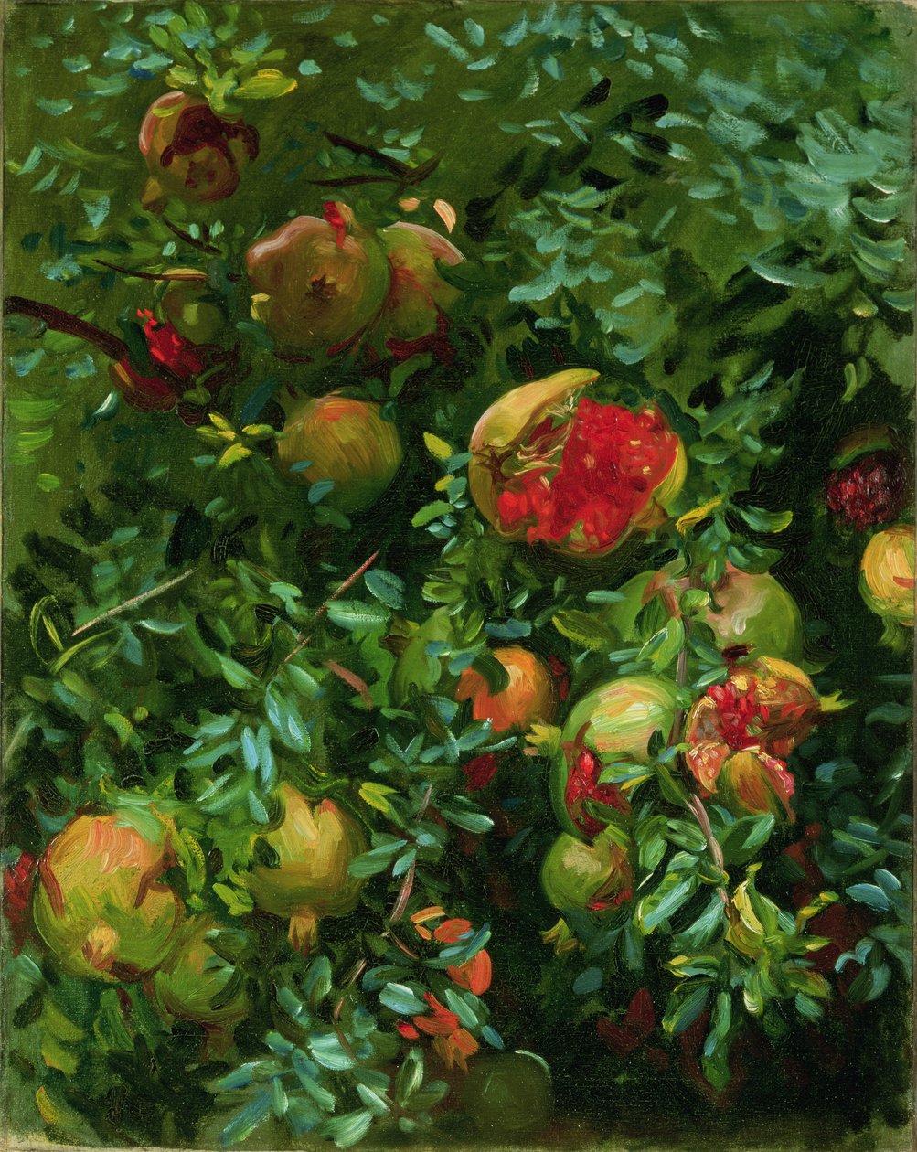 Romãs, Maiorca, c.1908 de John Singer Sargent