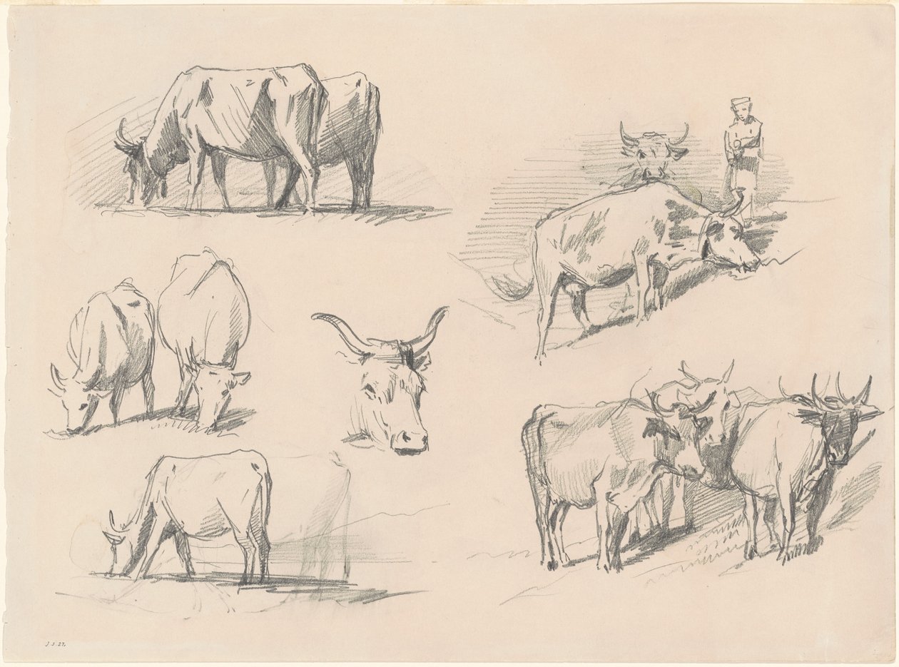 Estudos de Gado de John Singer Sargent