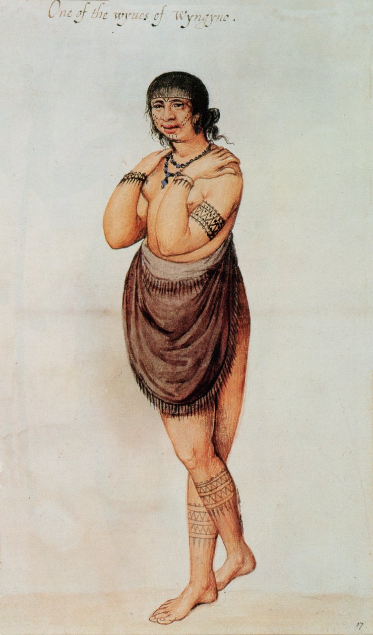 Mulher indiana (lito de cor) de John White