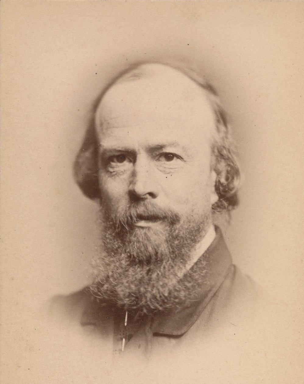 Floresta. de John and Charles Watkins