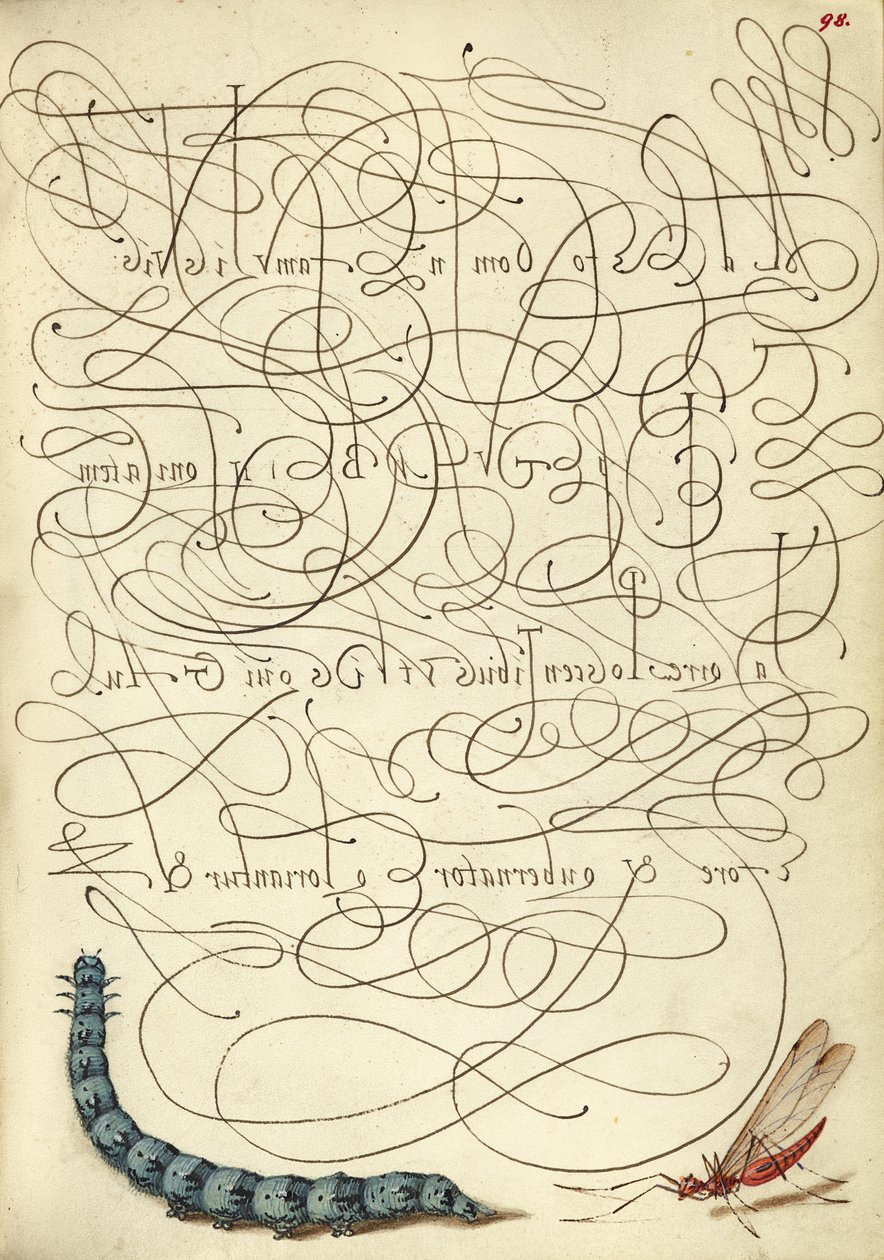 Lagarta e inseto de Joris Hoefnagel