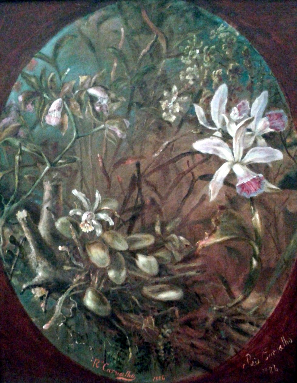 Parasitas de Jose dos Reis Carvalho
