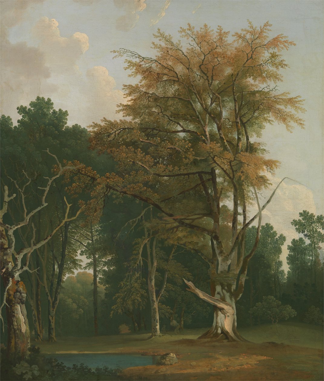 Árvores em uma clareira da floresta de Joseph Farington