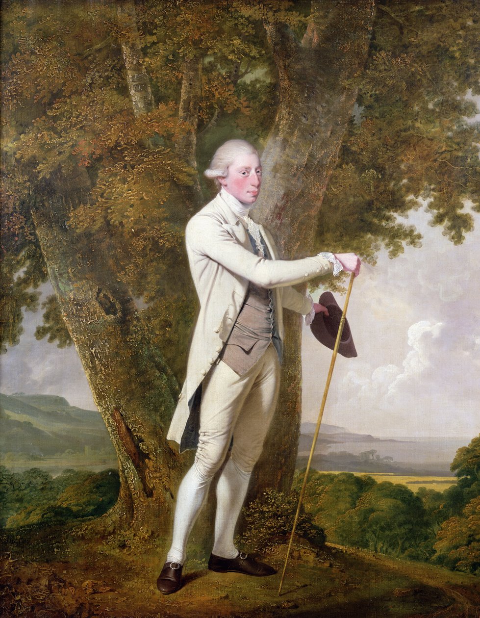 Retrato de John Milnes, 12º Duque de St. Albans (d.1810) c.1771-72 de Joseph Wright of Derby