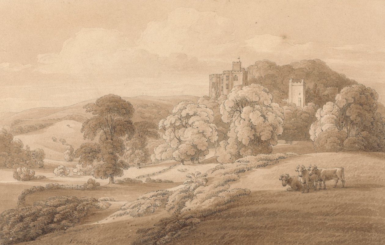 Castelo de Dunster, Somerset de Joseph Powell