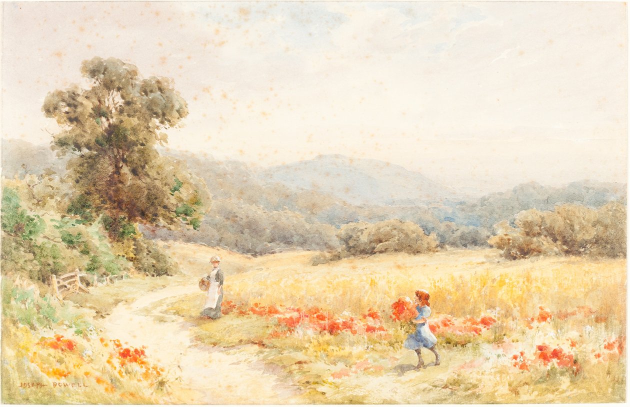 Verão de Joseph Rubens Powell