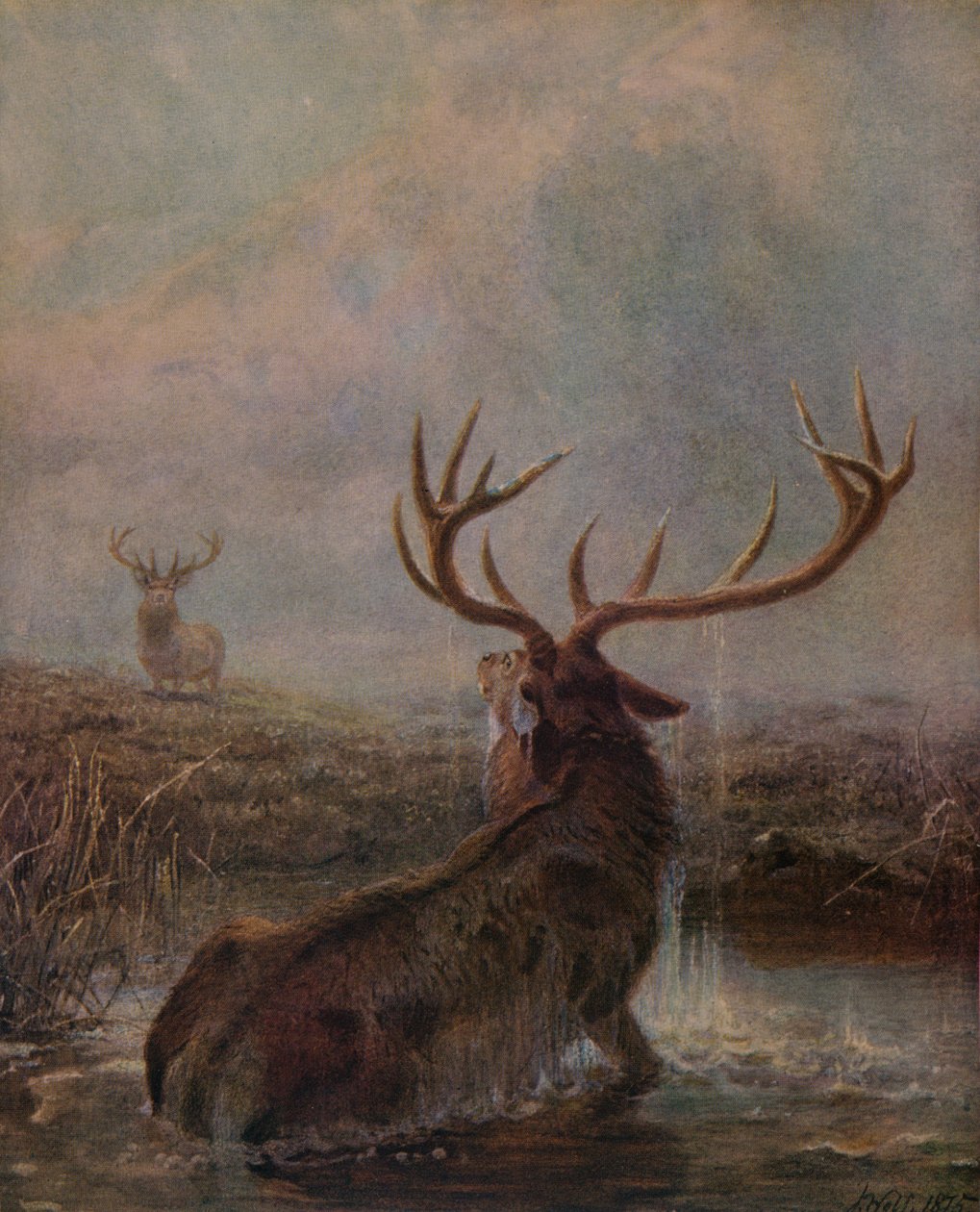 Interrompido, 1875, 1938 de Joseph Wolf