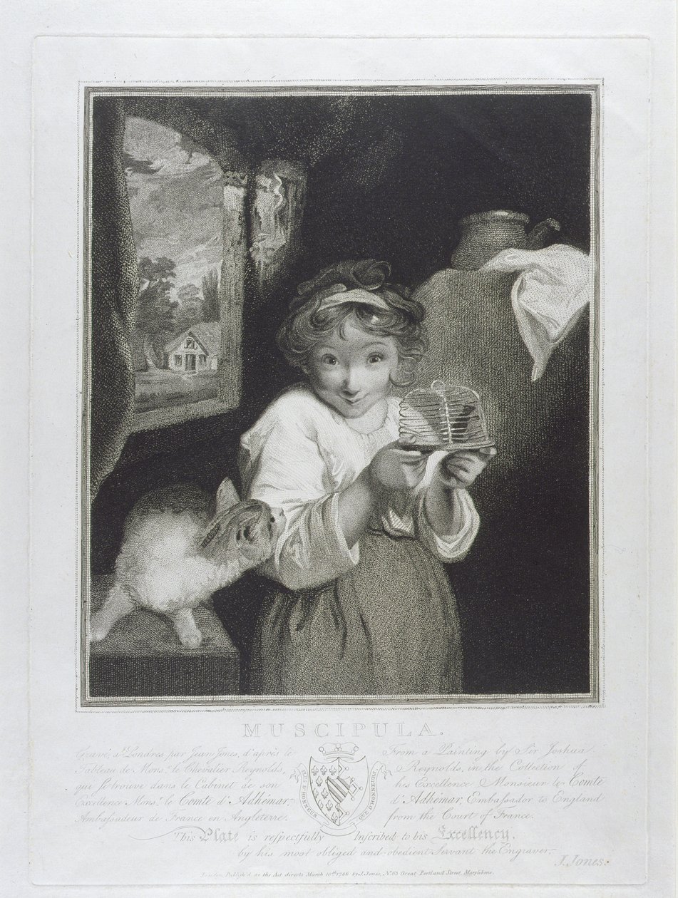 Muscipula, gravada por John Jones (c.1745-97) 1786 de Joshua Reynolds