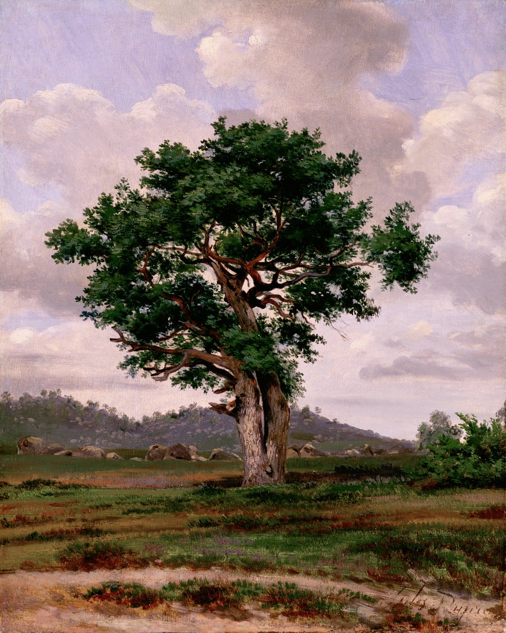 A raiva (quente-temperado) de Jules Dupré