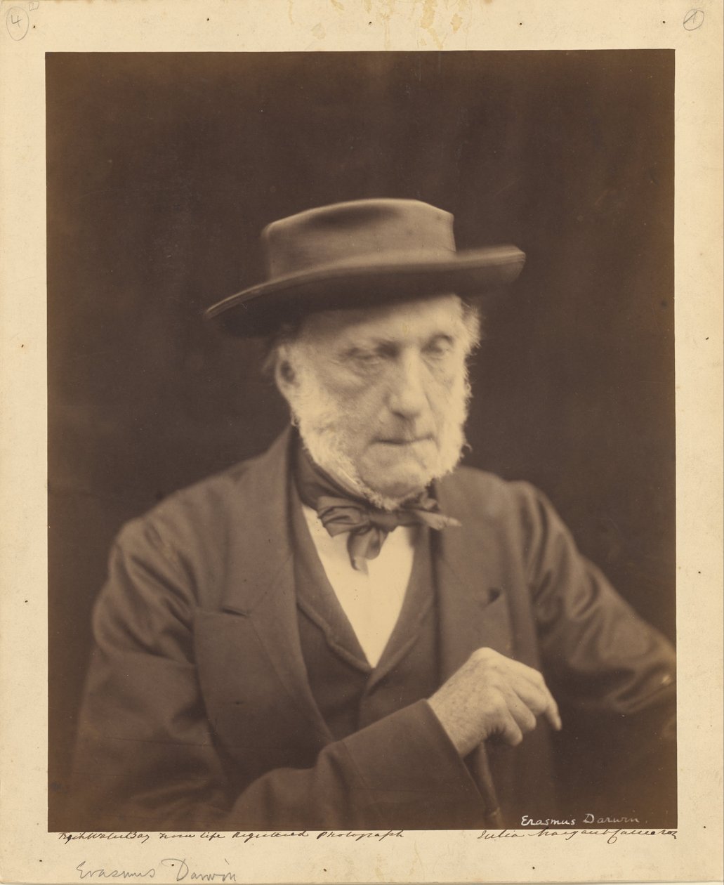 (Erasmus Darwin) de Julia Margaret Cameron