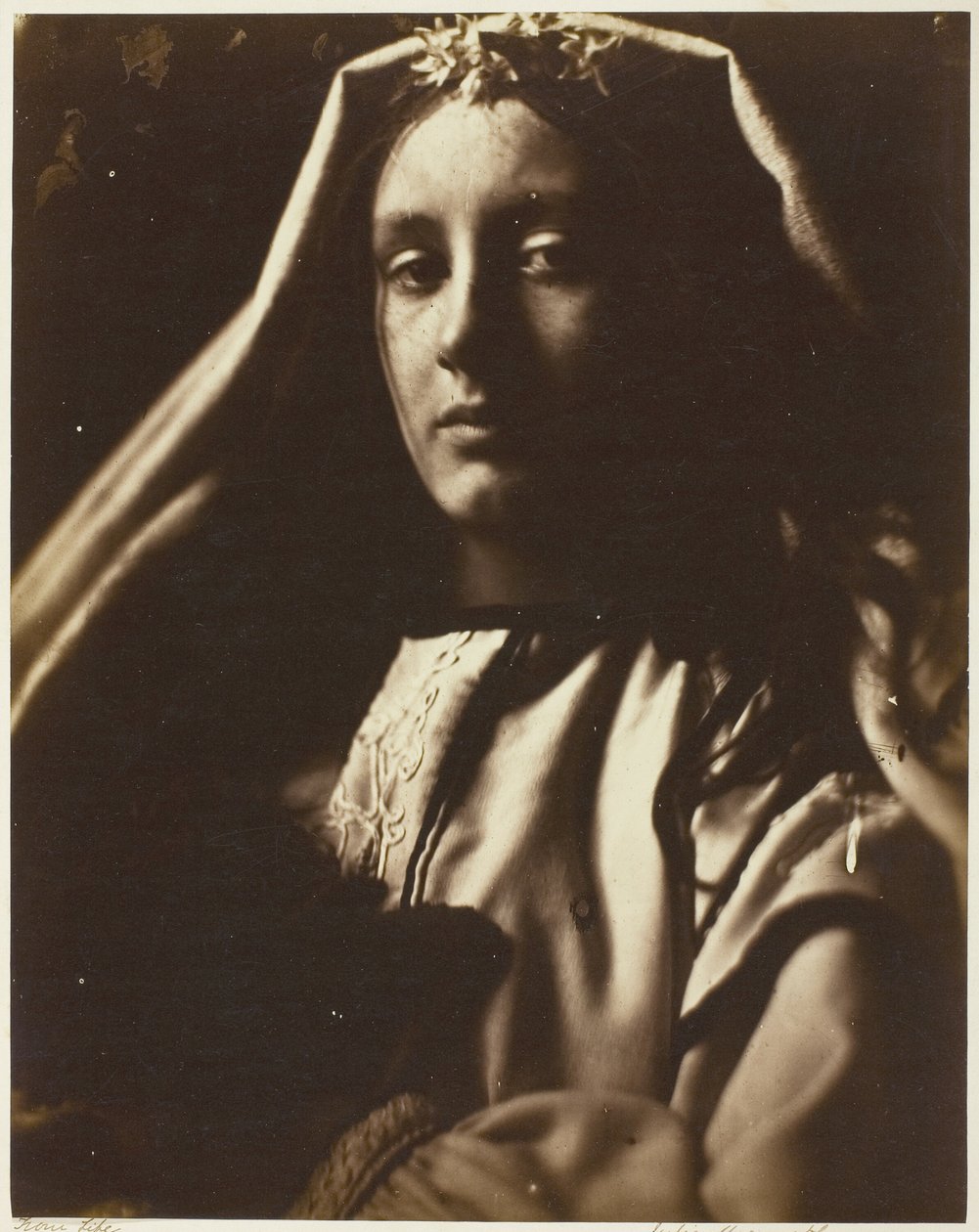 O napolitano de Julia Margaret Cameron