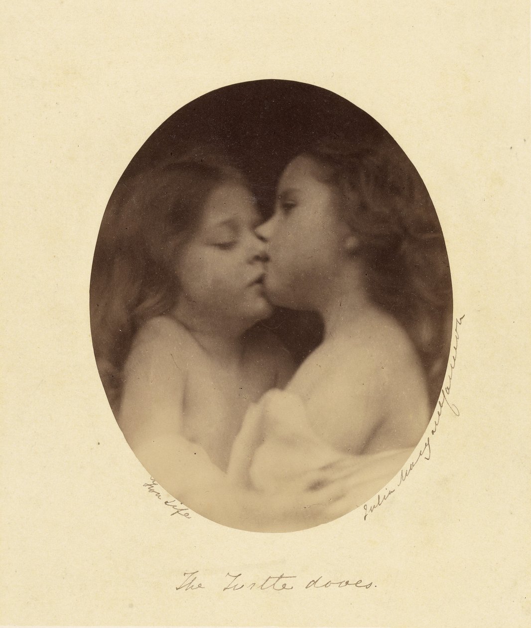 As pombas-tartaruga de Julia Margaret Cameron