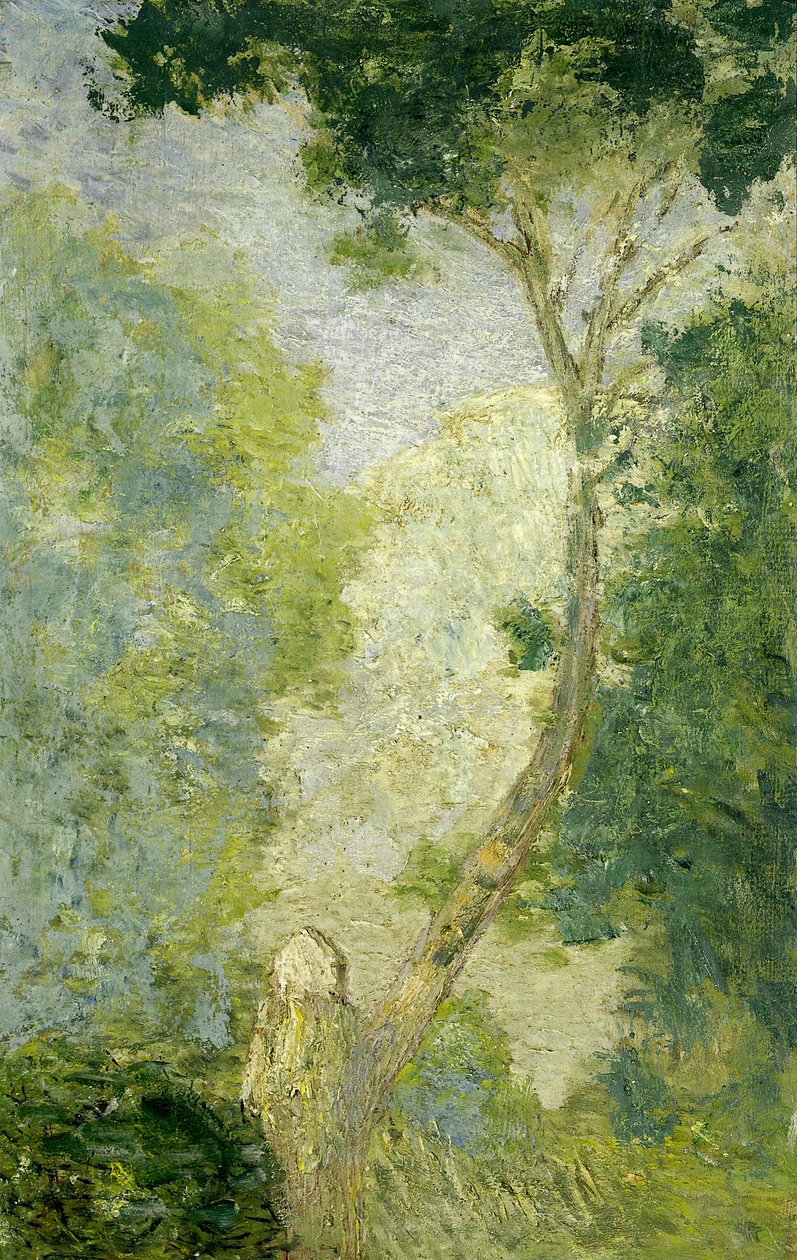 Paisagem, depois de 1900. de Julian Alden Weir