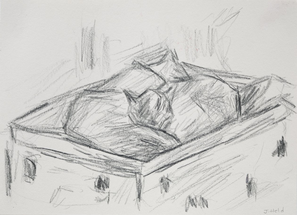 Gatos Nestling, 2015 (lápis) de Julie Held