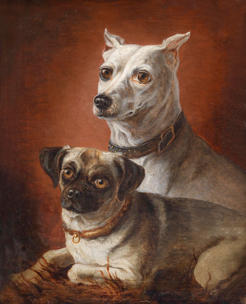 Retrato cão de Julius Hamburger