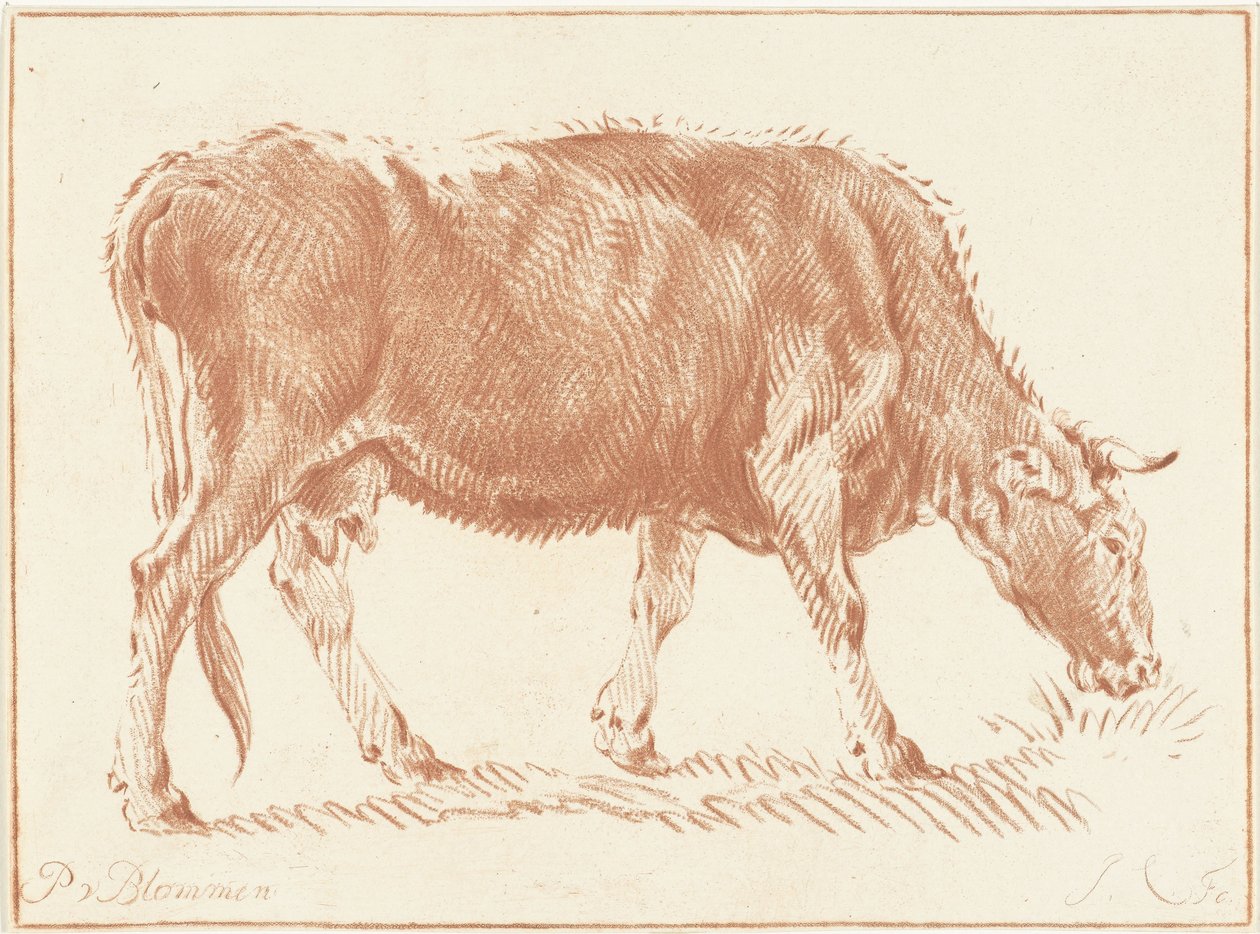 vaca pastando de Jurriaan Cootwijck
