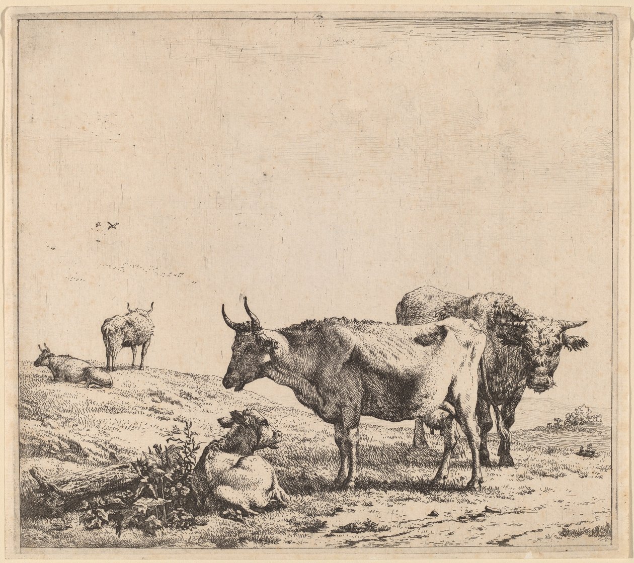 Vaca, Touro e Bezerro de Karel Dujardin