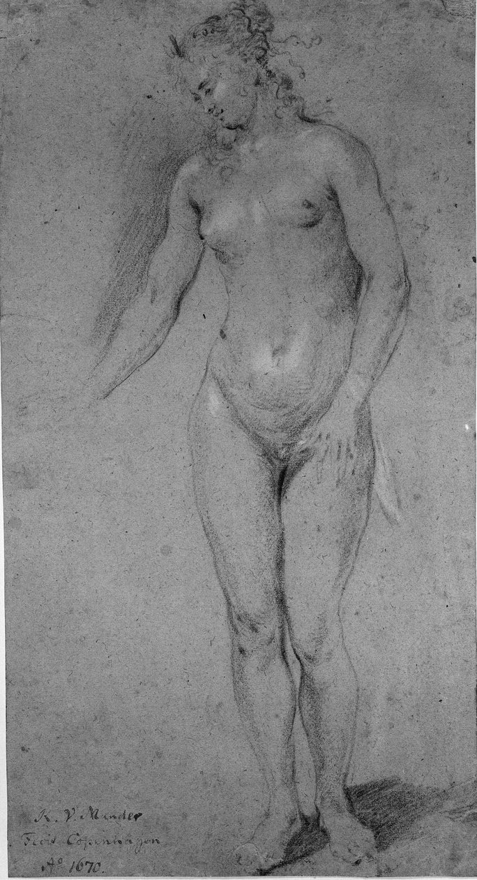 Mulher nua em pé de Karel van III Mander