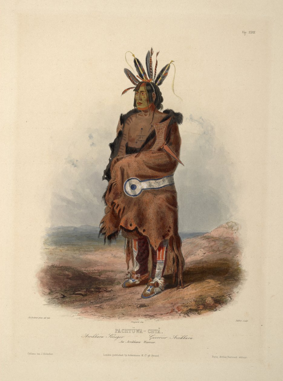 Um guerreiro arrikara de Karl Bodmer
