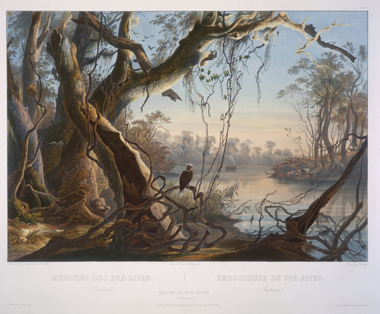 Foz do Rio Fox (Indiana) de Karl Bodmer