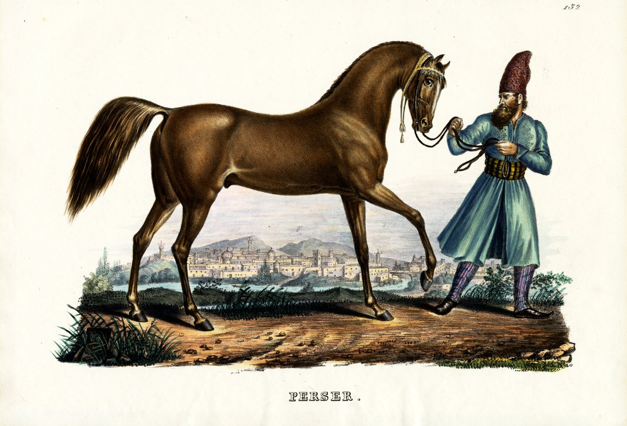 Cavalo persa, 1824 de Karl Joseph Brodtmann