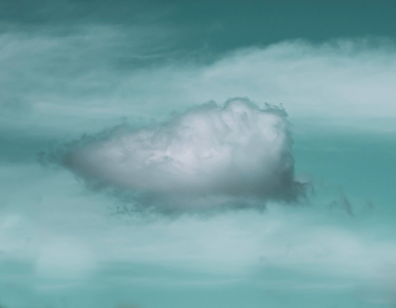 This Cloud, 2021 (foto) de Katha Wood