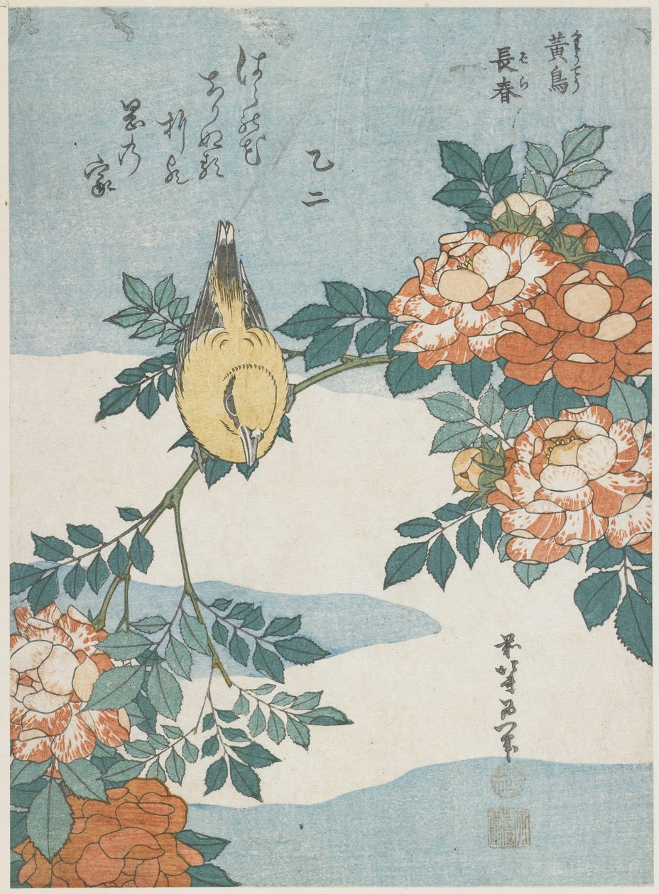 Oriole Preto-Naped e China Rose, c. 1833 de Katsushika Hokusai