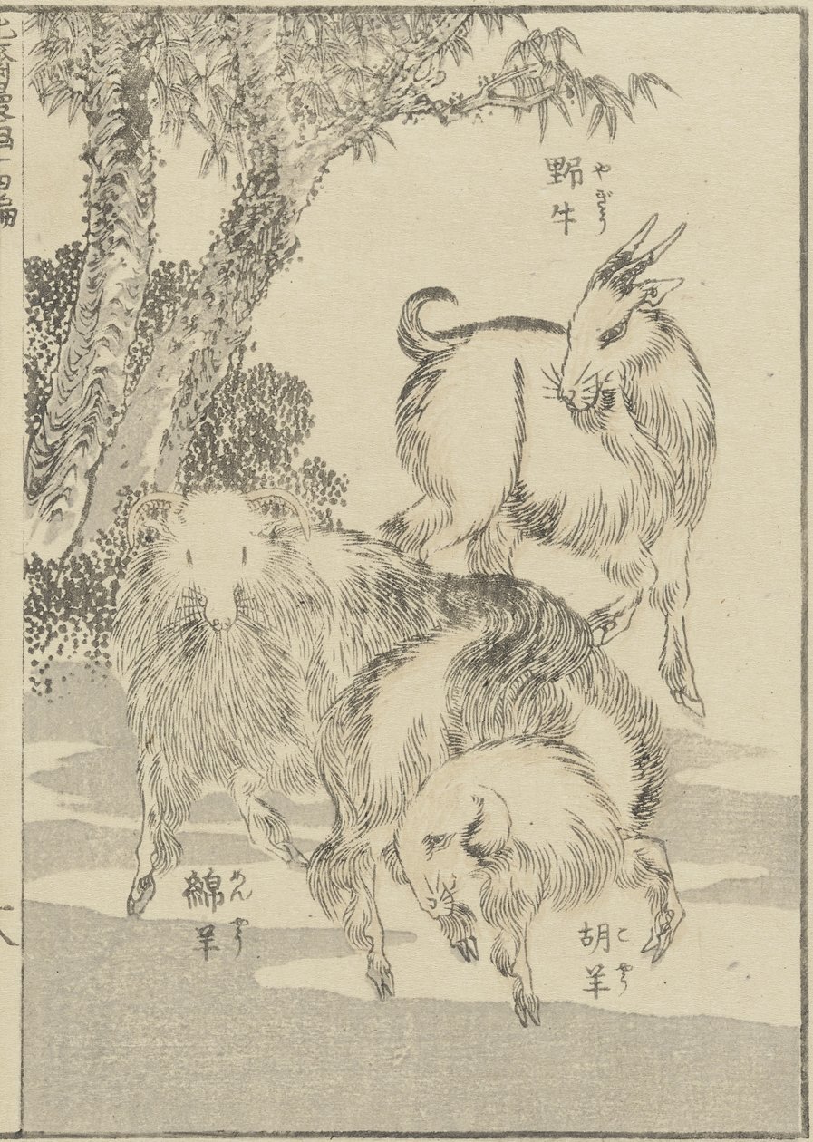 Cabras, c. 1840 (impressão em xilogravura) de Katsushika Hokusai