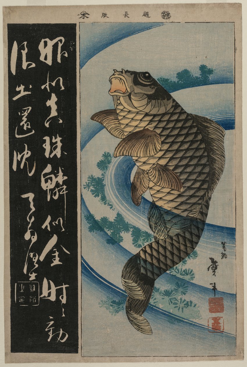 Carpas e algas de Katsushika Taito II