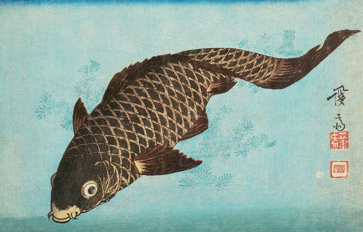 Koi, pub.1842 de Keisai Eisen
