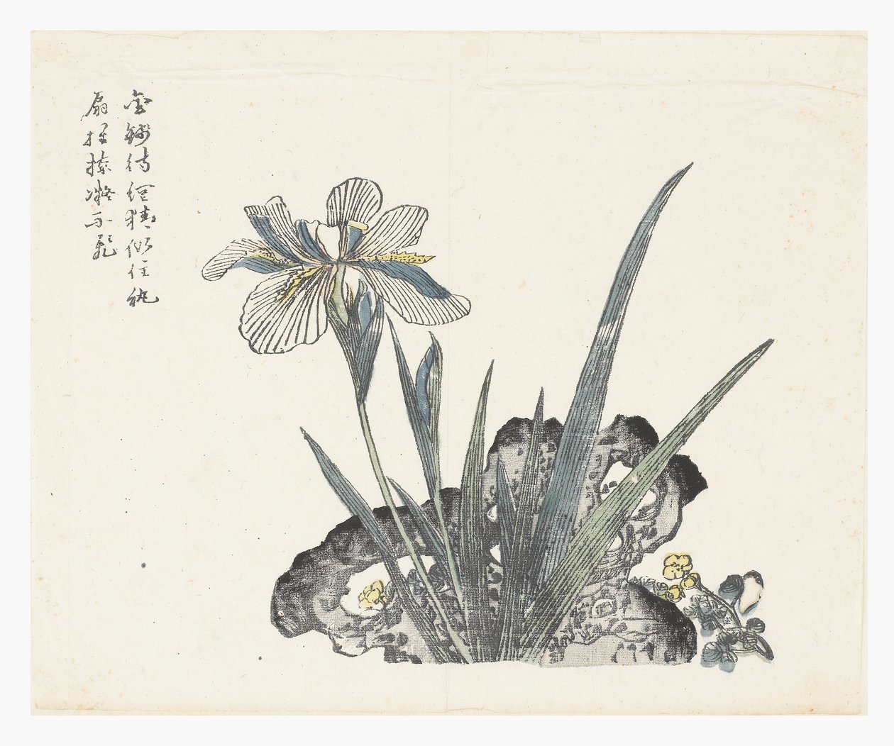 Jardim de sementes de mostarda de Ki Chang